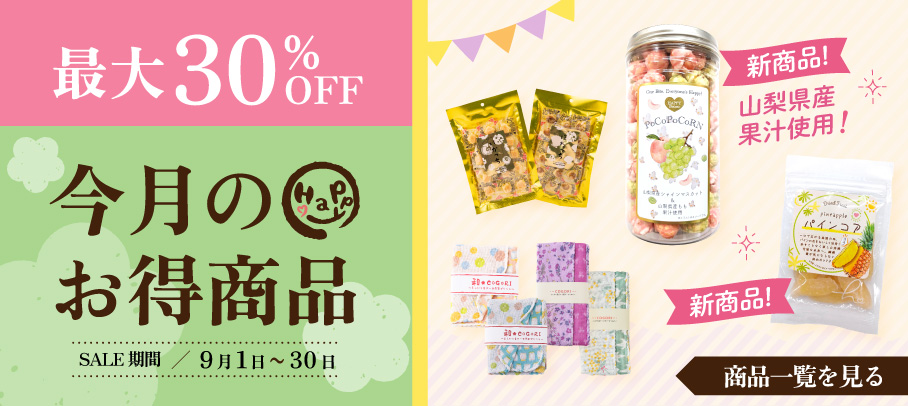 今月のお買い得商品